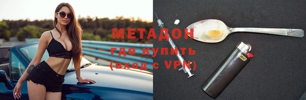 индика Инта