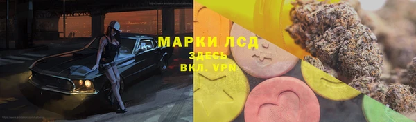 индика Инта