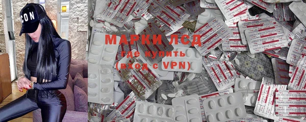 индика Инта