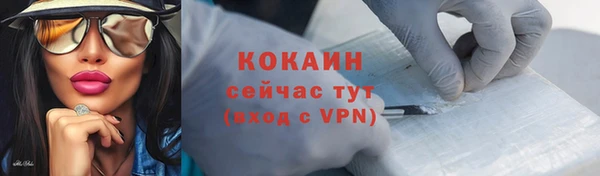 индика Инта