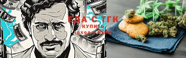 индика Инта