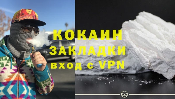 индика Инта
