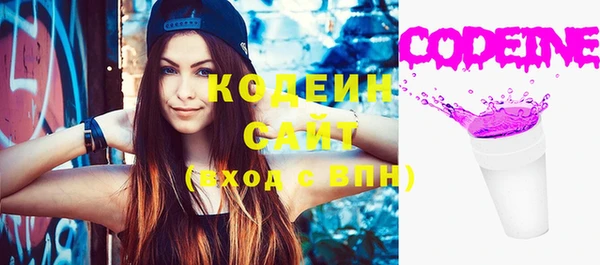 индика Инта